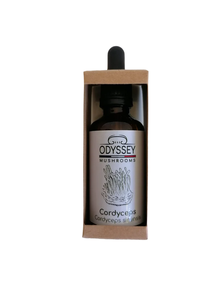 Cordyceps extract